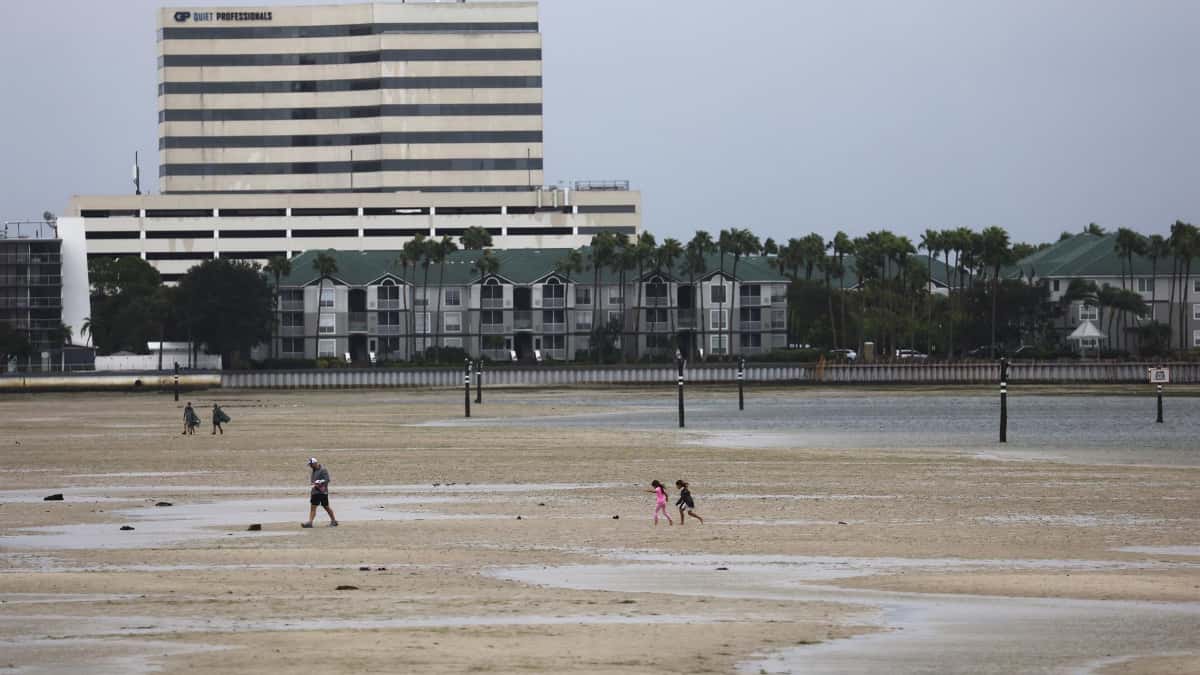 Un tiburón fue grabado nadando en las calles tras el paso del huracán Ian por Florida