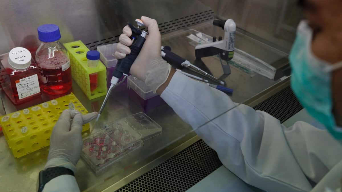 Latinoamérica se blinda ante posible llegada de la viruela del mono