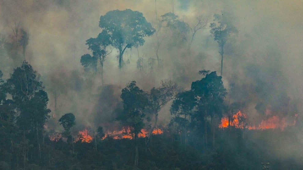 Amazonía brasileña sufre nuevo pico de deforestación