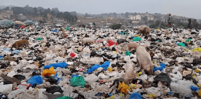 El mundo se está ahogando en la basura