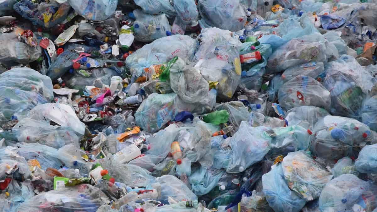 Francia pondrá fin al uso de embalaje plástico para frutas y verduras