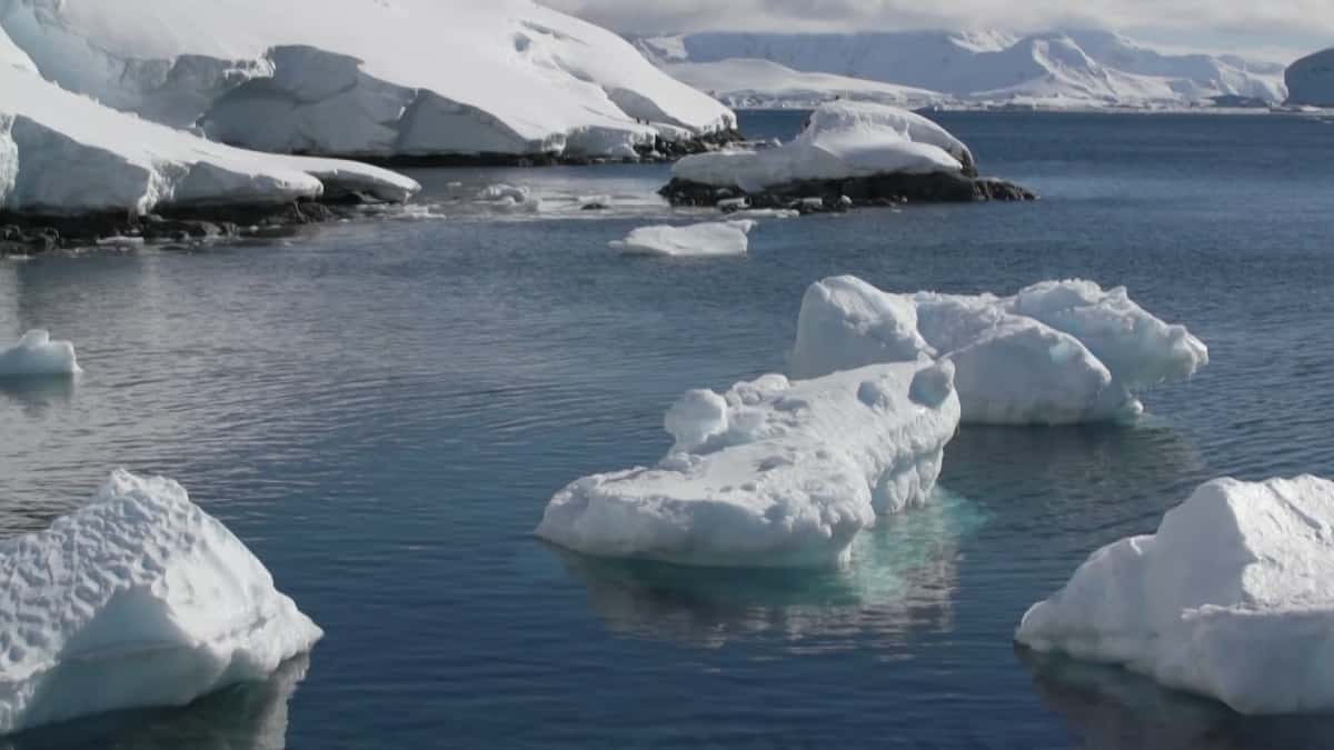 En peligro costas del mundo por derretimiento de glaciares del Polo Norte