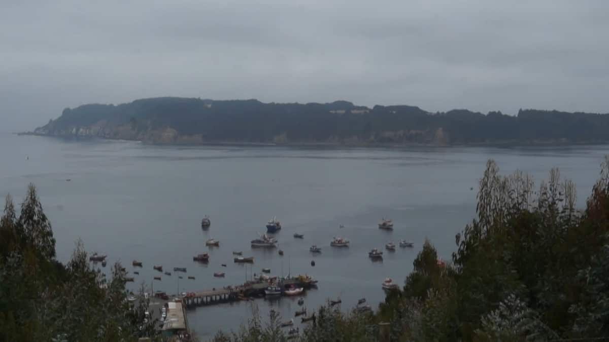 Investigadores de Chile alertan alto riesgo de posible tsunami por actividad sísmica