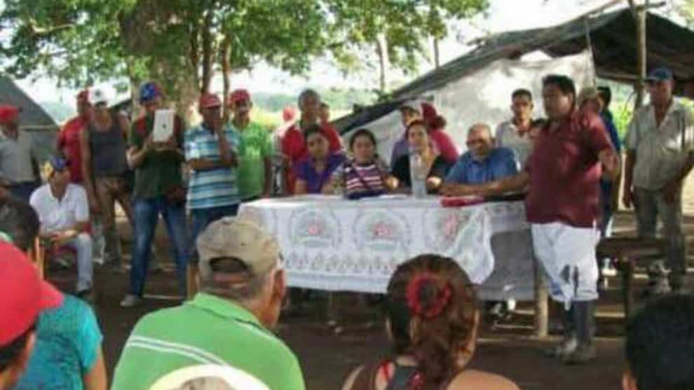 Campesinos
