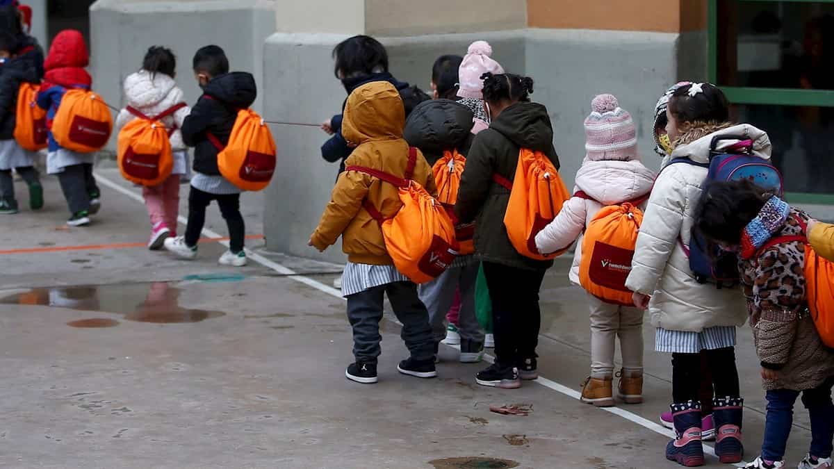 Evidencias indican a la OMS que los colegios no son los grandes propagadores del coronavirus