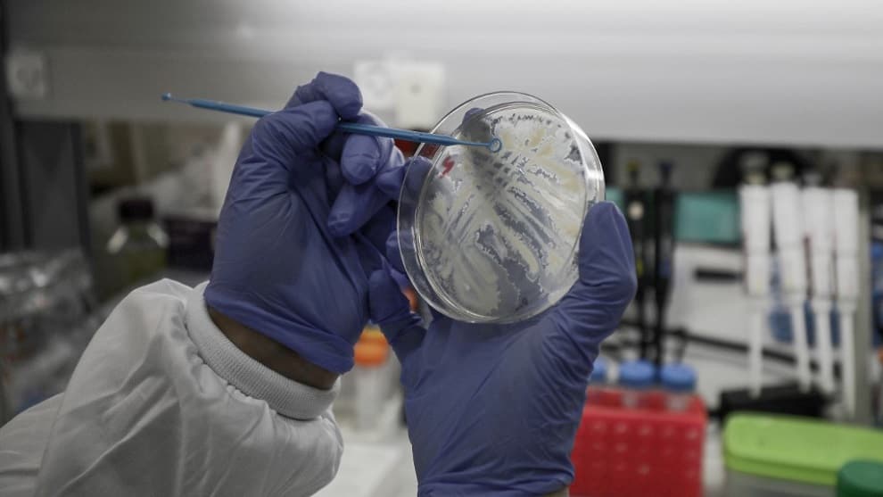 EE. UU. aprueba un tratamiento antimalaria para combatir el coronavirus