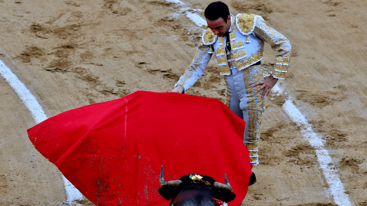 Corridas de toros en Colombia