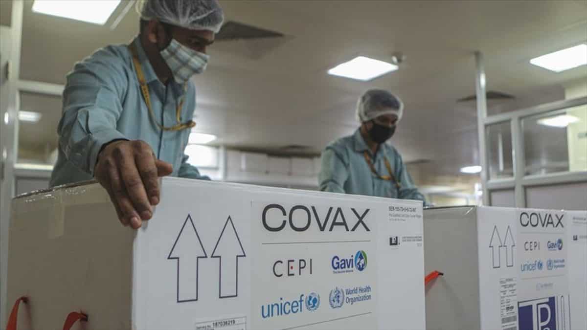 A través del mecanismo Covax serán otorgadas la mayoría de dosis. Foto: Agencia Anadolu
