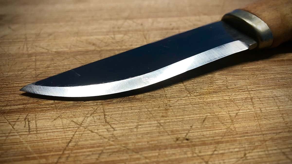 Hombre asesinó con un cuchillo a siete personas en un baño