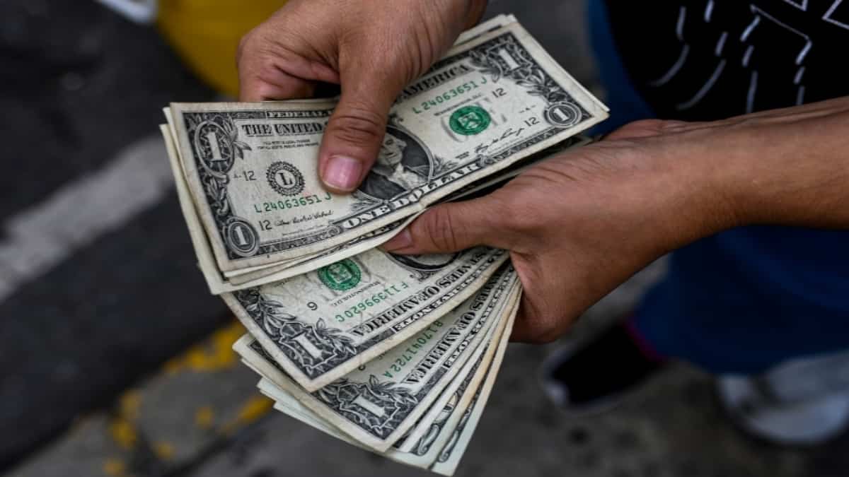 Dólares en Venezuela / FOTO: AFP
