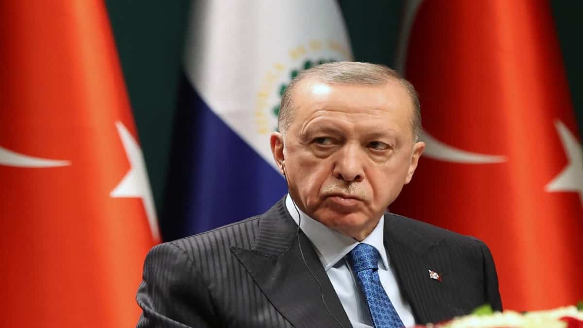 Recep Tayyip Erdogan / AFP