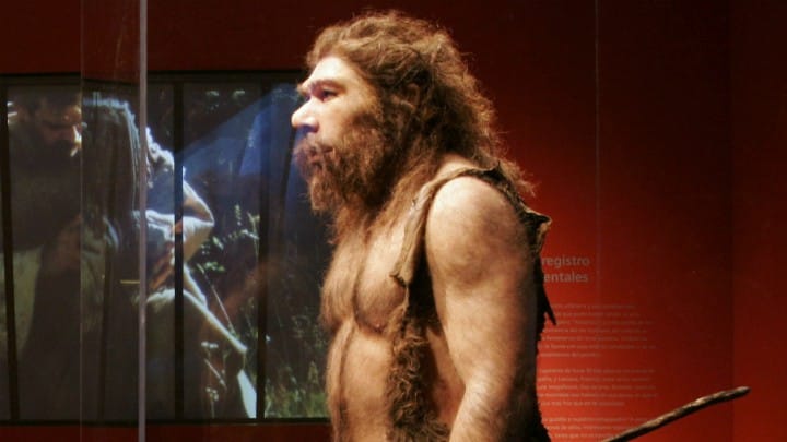 Extinción del 'Homo erectus'