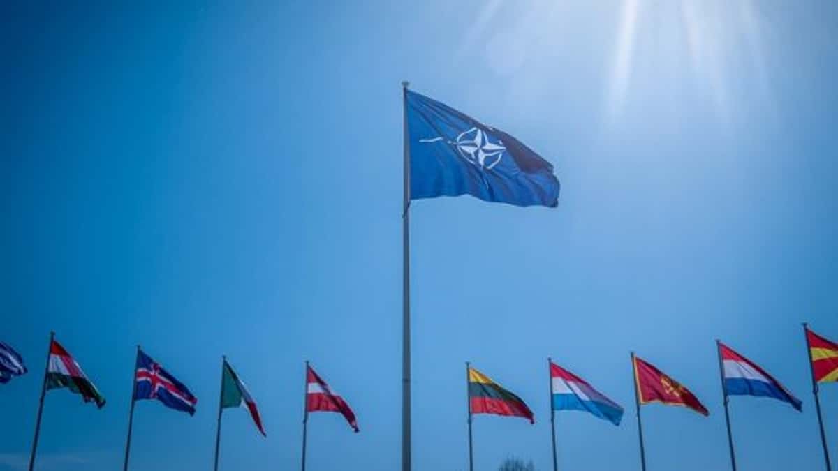 OTAN / Cortesía