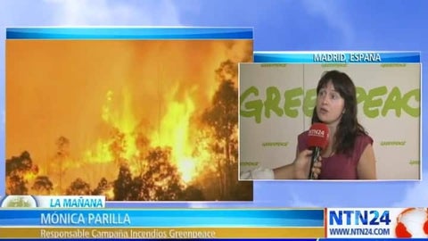 Incendio forestal en provincia española de Valencia