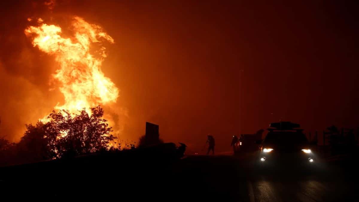 Peligrosos incendios arrasan bosques de Grecia y Turquía. Foto: EFE