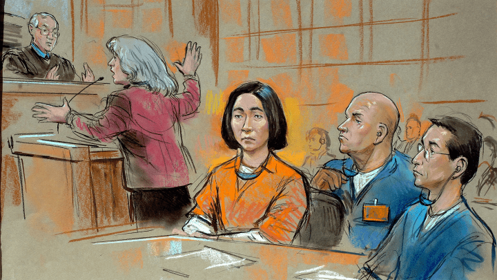 Fue deportada alias Sonia, la primera guerrillera de las FARC extraditada a EE. UU.