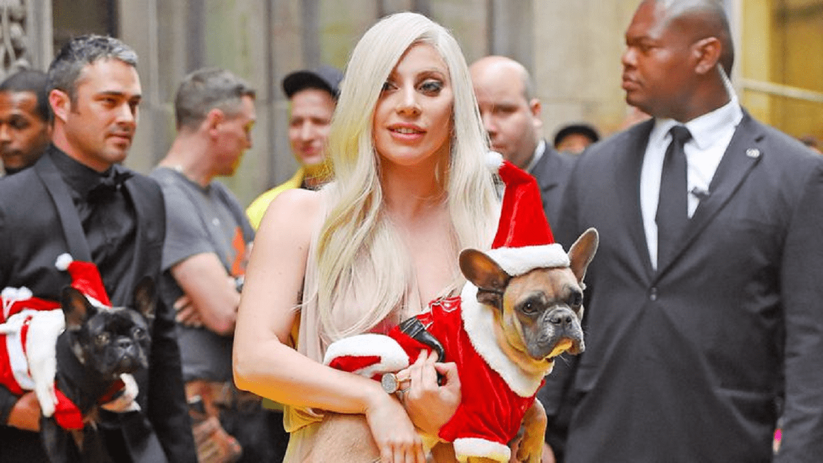 Lady Gaga recupera sanos y salvos los dos perros que le robaron