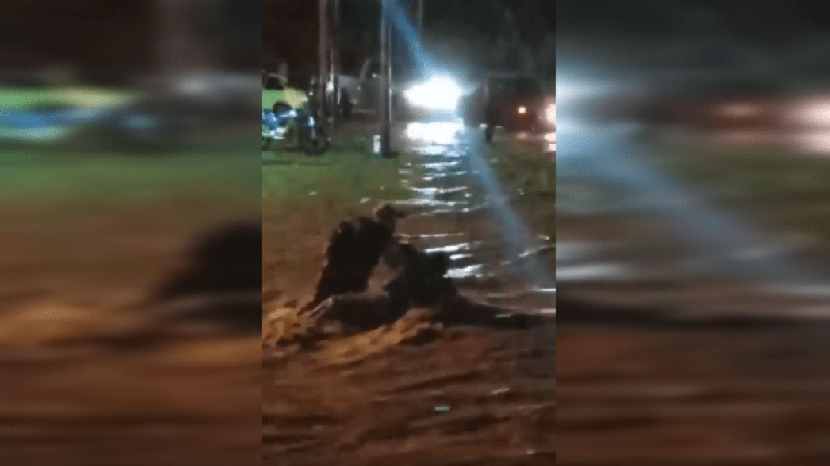 Lluvias en Lara / Captura de video