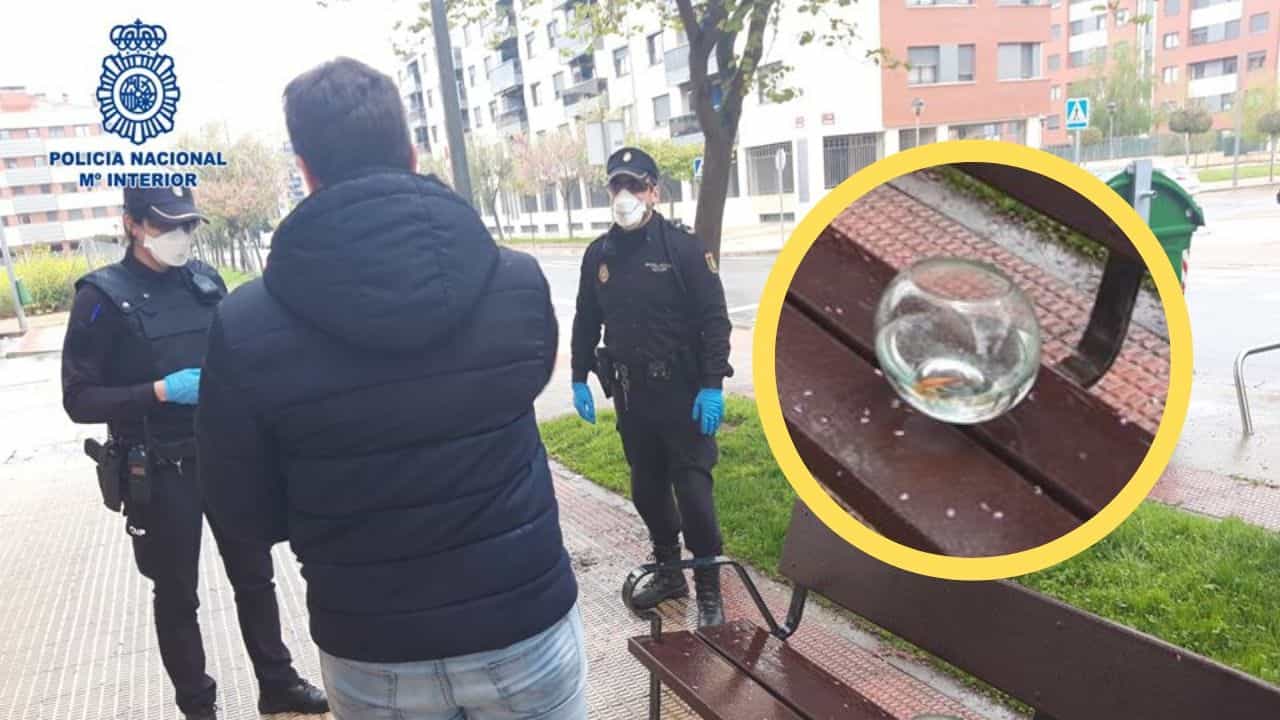 Fotos: Policía Nacional de España