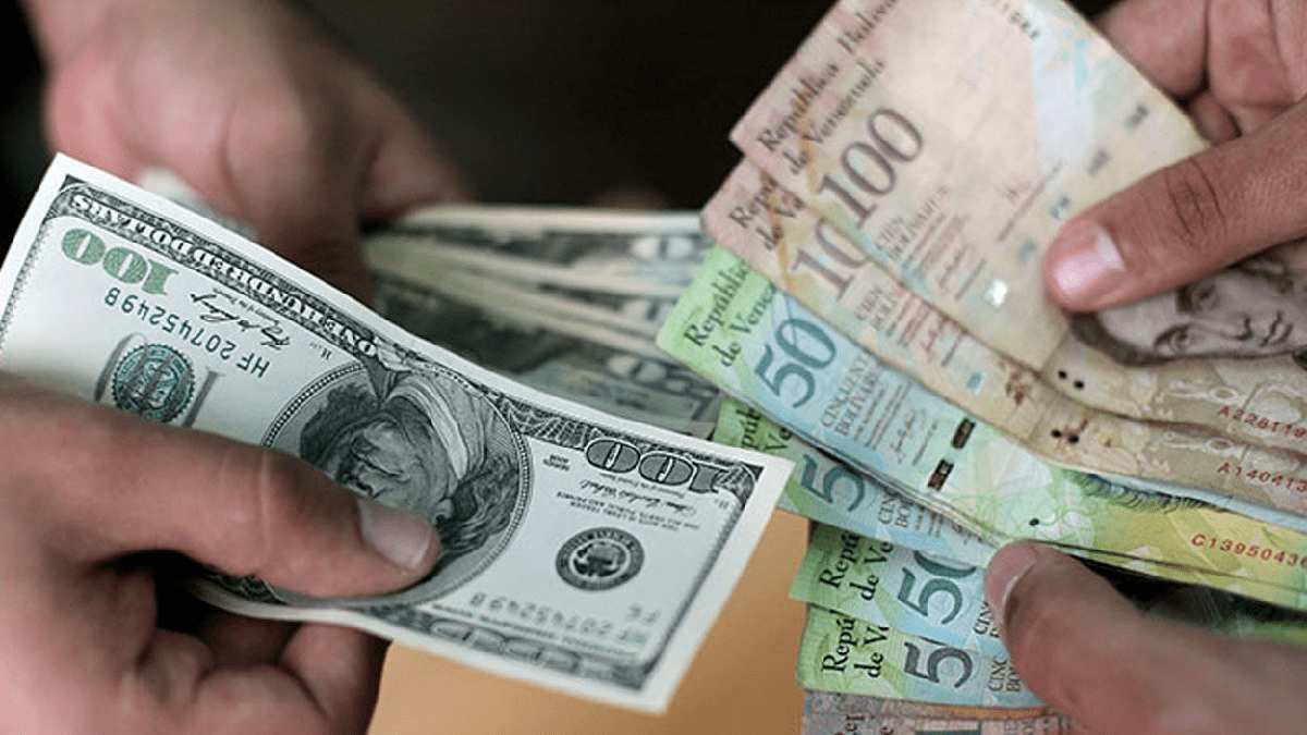 Dólares y Bolívares en Venezuela