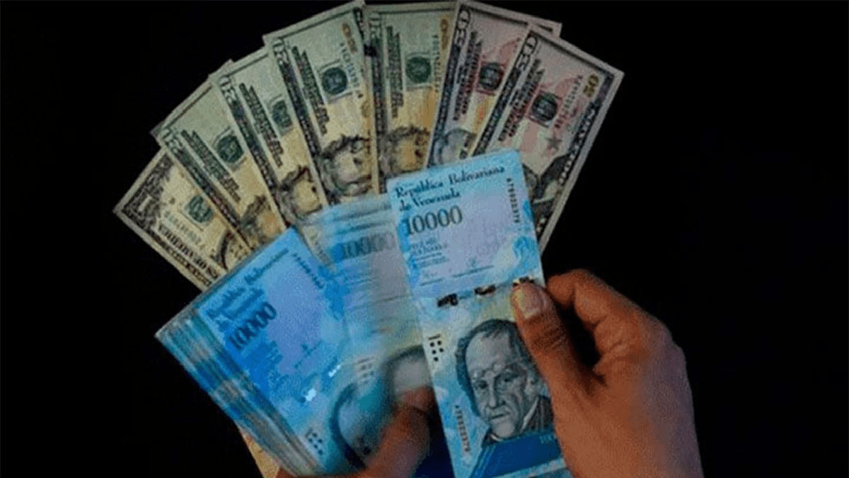 Foto: cortesía Dólares en Venezuela