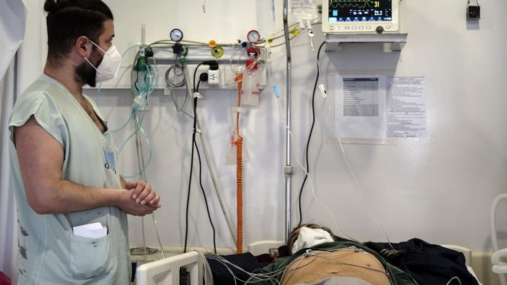 Prueban suero equino en 18 pacientes con coronavirus en Argentina