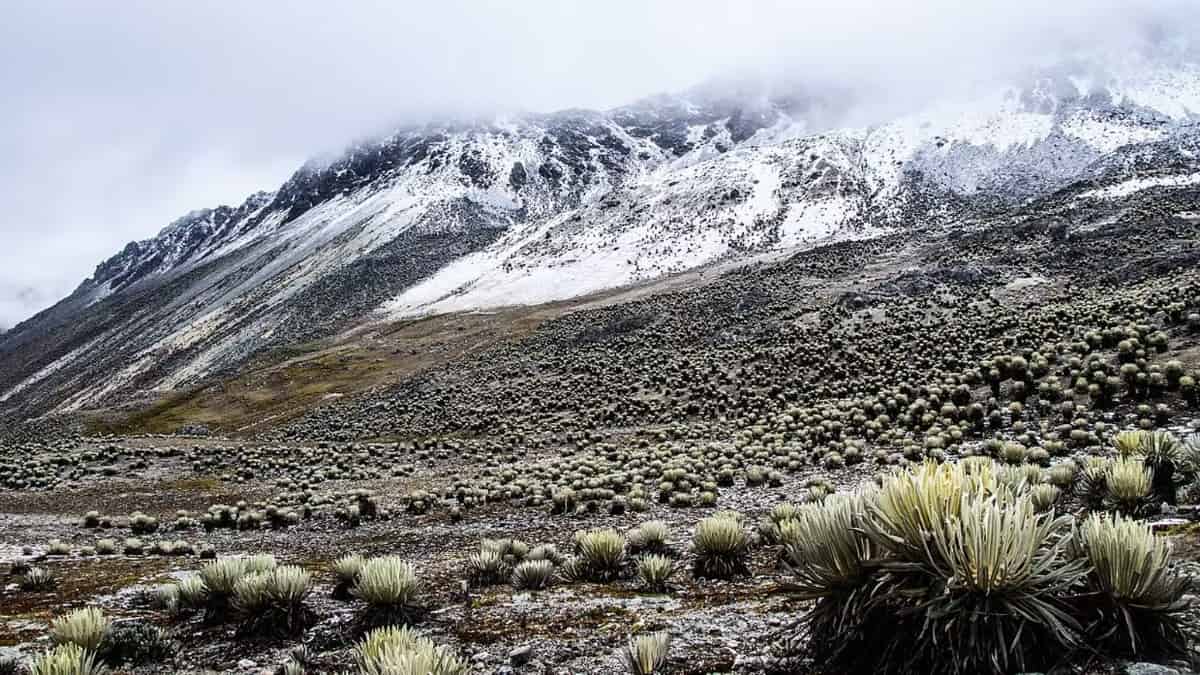 Cordillera de Mérida - Foto: Cortesía - referencial