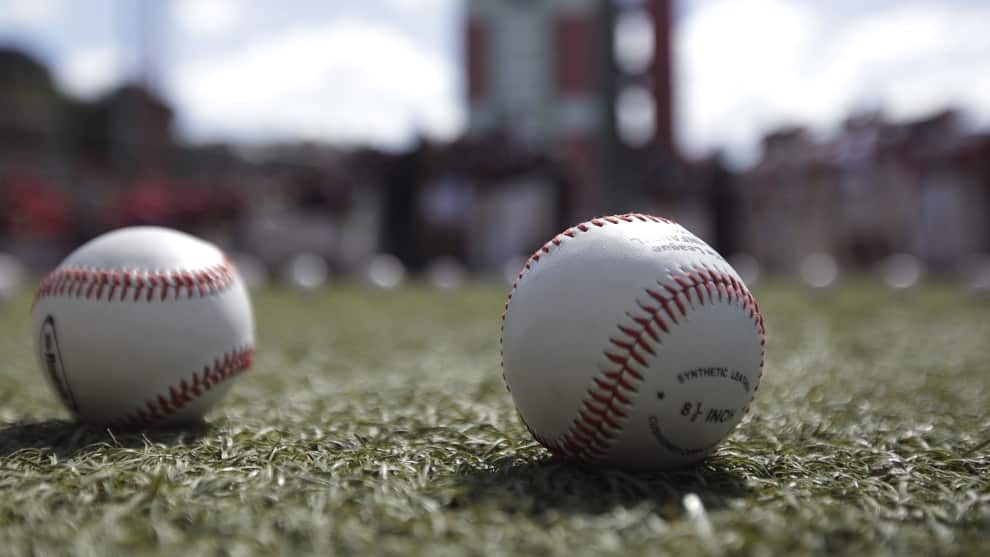 Pelotas de Béisbol/ Foto: AVN