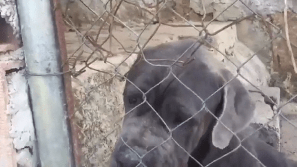 Foto captura del video