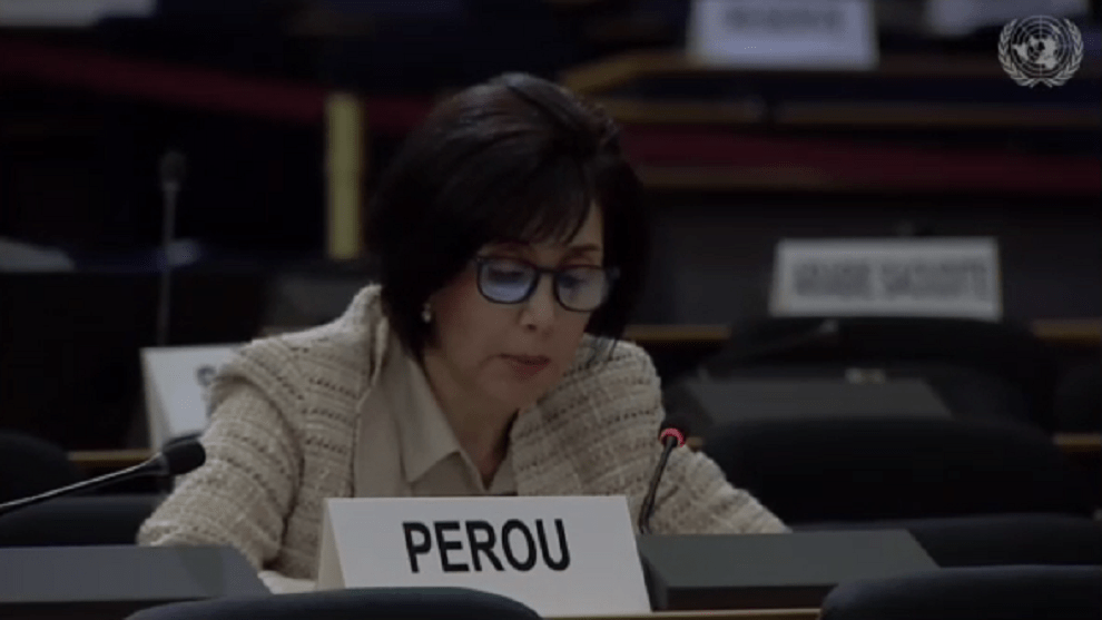 Países latinoamericanos condenaron violaciones de Derechos Humanos del régimen en Consejo de la ONU