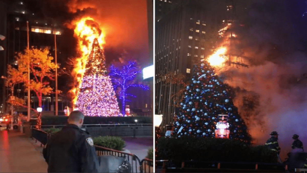Árbol de Navidad en Nueva York- Foto: New York Post