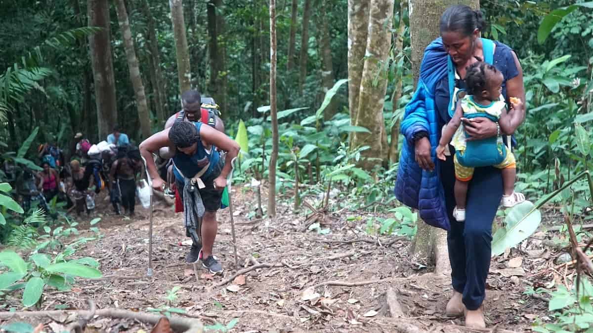 Migrantes cruzando la selva del Darién - Cortesía