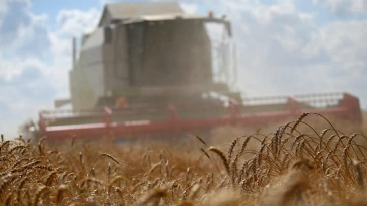 Japón y Corea del Sur suspende importaciones de trigo desde Canadá