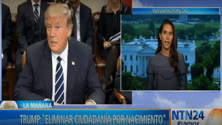 trump ciudadanía para los nacidos en EE. UU.
