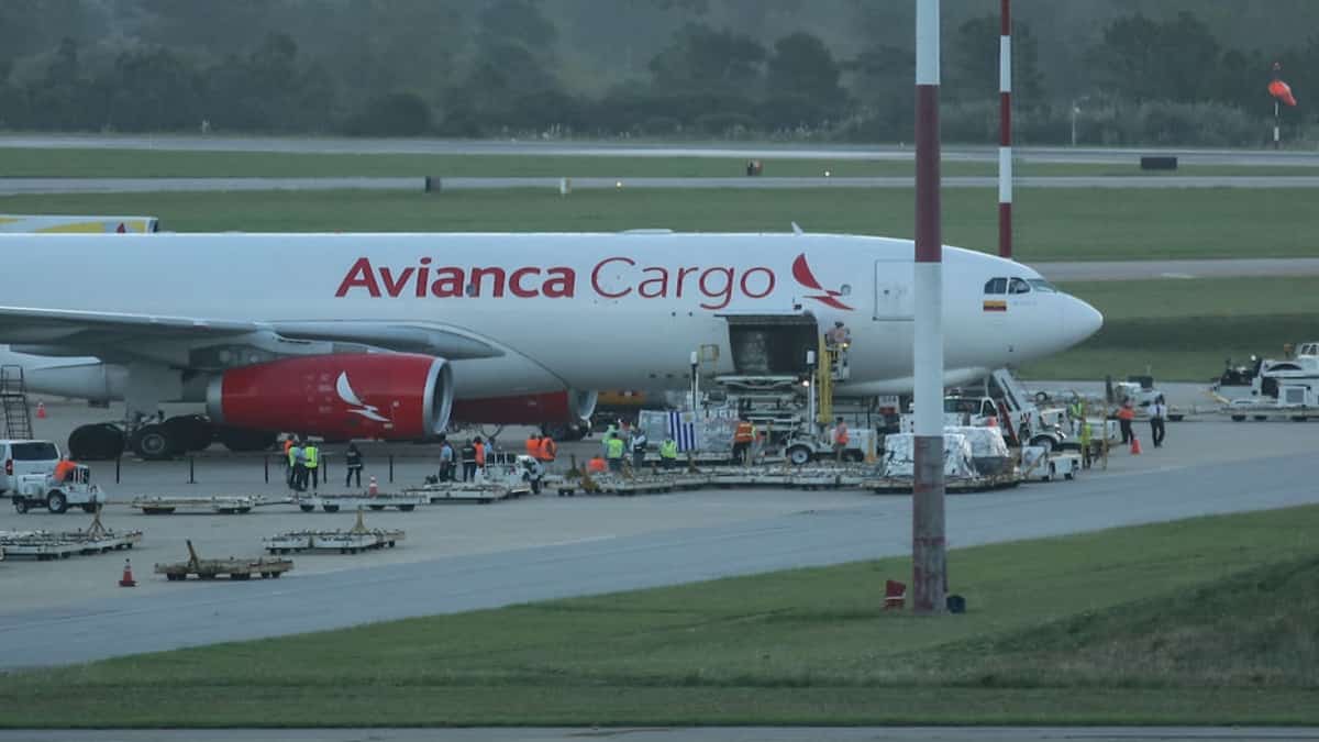 1,5 millones de dosis llegarán a Uruguay como parte de Covax. Foto: Gastón Britos - FocoUy
