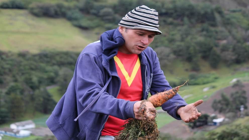 "Perdí 15 toneladas de remolacha": La triste realidad del campo tachirense